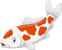 Aufkleber Koi Autoaufkleber 11 X 9 Cm Sticker Konturschnitt