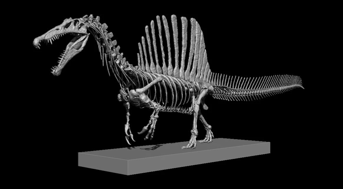 Dinosaur 3D Print: The Best Models for 2023