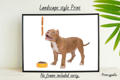 AMERICAN BULLY HUND HAUSTIER A4 BILD DRUCK POSTER WANDBILD WOHNDEKO UNGERAHMT GESCHENK