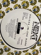 Voices in the Dark Keep It Warm 12" 1987 NEXT PLATEAU NP50059 HOUSE PROMO