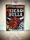 MICHAEL JORDAN Custom Patch Card 1 Of 1 By LT9 customs. Chicago Bulls.