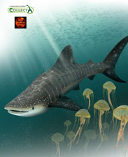 Whale Shark Sealife Toy Model Figure by CollectA 88453 Brand New