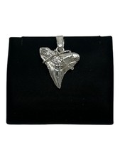 Sterling Silver Bullshark Tooth Pendant – Ocean-Inspired Jewelry