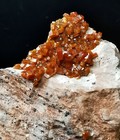 Bild 9 von 22