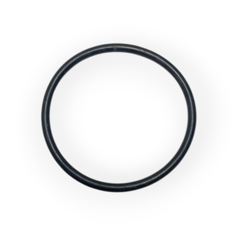 Guarnizione O-Ring Cillichemie C1CI 152/07 per Cillit Immuno 152/153