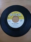 Beatles Ain't She Sweet/Nobody's Child original Atco 45