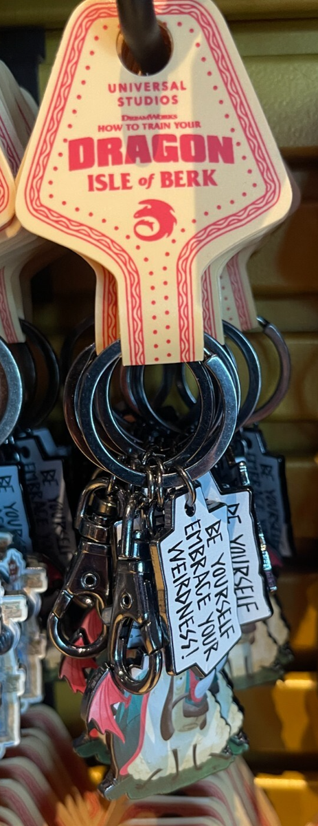 Universal Epic Universe How Train Your Dragon Embrace Weirdness