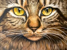 Alex The Maine Coon Cat Painting 9x12 in HD Metal Infused Aluminum Print by Irma
