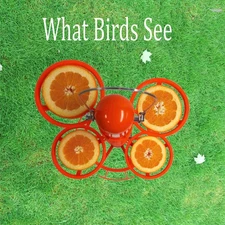 Oriole Bird Feeder with 4 Orange holders.