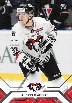 Alexis D'Aoust, 20-21 slovak set, Lausitzer Füchse (DEL 2)