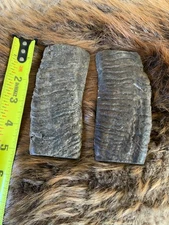 MERINO RAM HORN KNIFE HANDLE MATERIAL  Lg BLANK SCALES 5” x 2 1/8 x 3/8” (ME15)