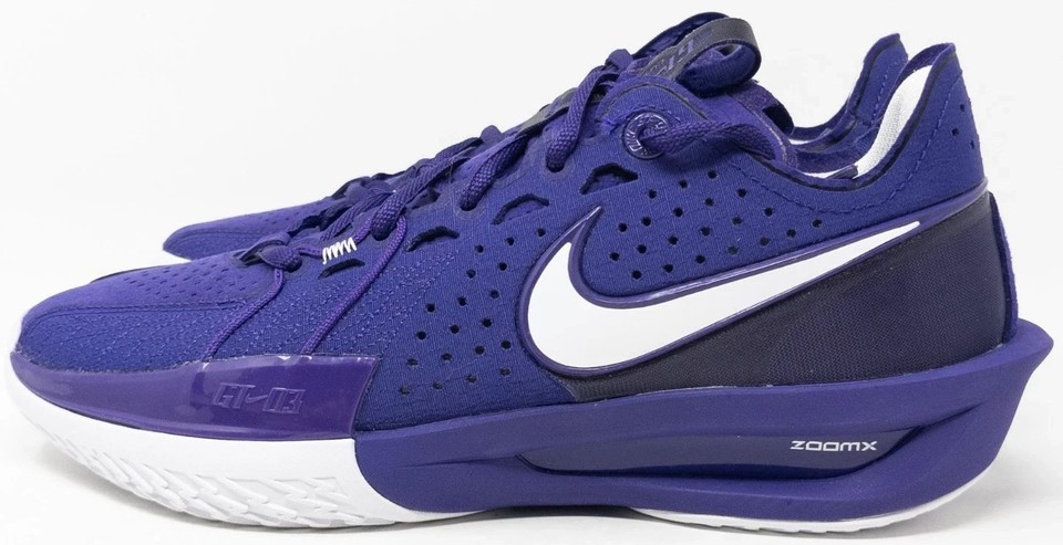 新品 NIKE AIR ZOOM G.T. CUT3 PURPLE 31cm Nike Air Zoom GT Cut 3 TB Promo Court Purple for Sale