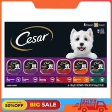 Cesar Classic Loaf In Sauce Wet Dog Food Variety Pack, 3.5 Oz Trays 36 Pack 