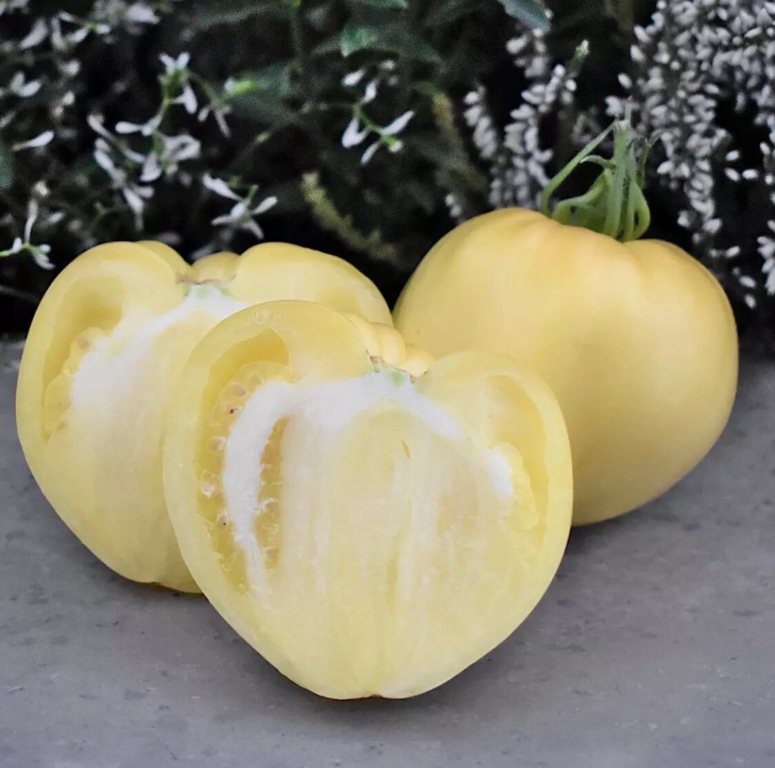TOMATO 15 SEEDS WHITE OXHEART Beefsteak OX EARLY HEIRLOOM NO GMO eBay