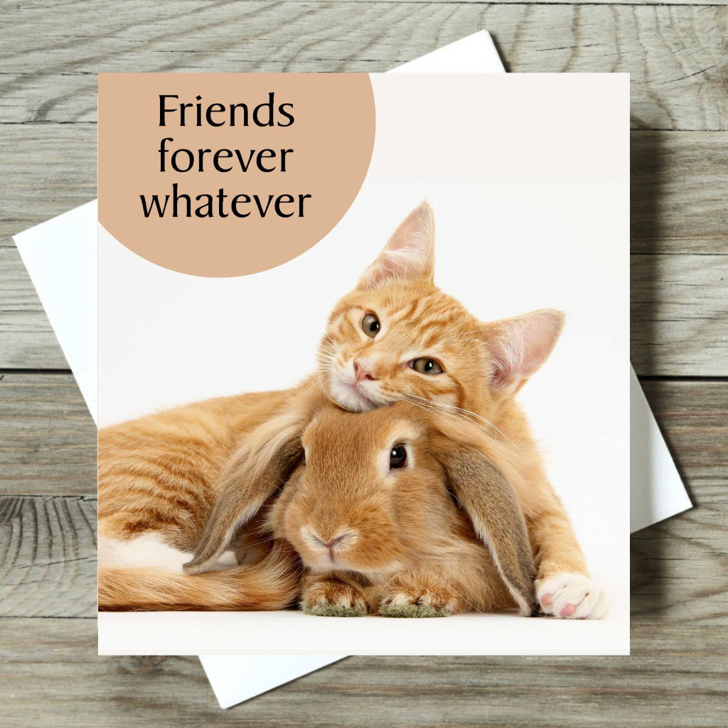 Friendship Card Cat Rabbit Lovers Greeting Card Ginger Cat Friends Forever Card