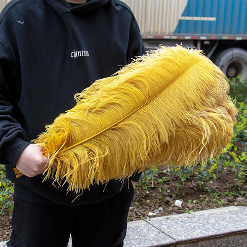 10PCS Colorful Ostrich Feathers Farm Feather for Wedding Party Decor Plumes Good - Picture 3 of 33