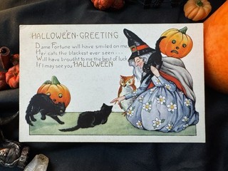 Antique 1920 Whitney Made Halloween Postcard Witch Black Cats Owl Jack O Lantern