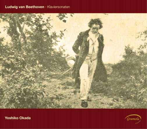 Ludwig van Beethoven Ludwig Van Beethoven: Klaviersonaten (CD) Album