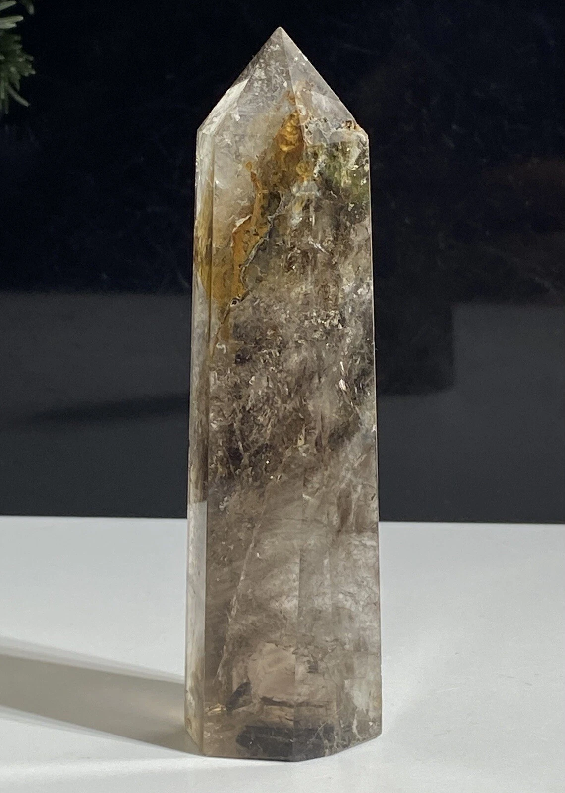 Picture 6 of 20