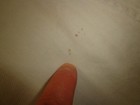 Bild 16 von 16