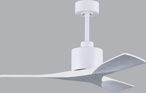 Matthews Nan 42" Damp Ceiling Fan with Remote and Wall Control, Matte White