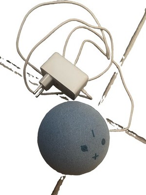 Alexa Echo, Dot