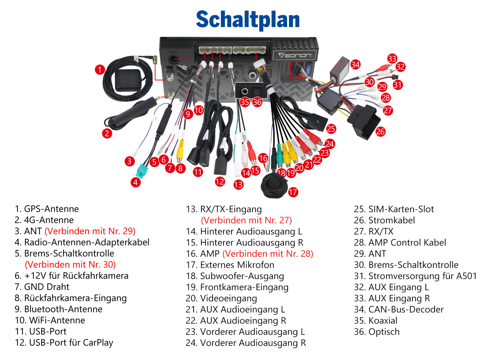 Bild 21 von 21