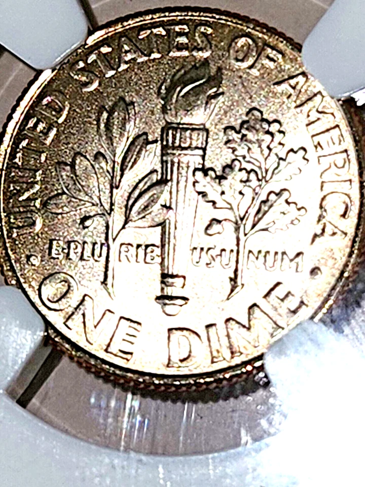 2009 D ROOSEVELT DIME NGC MS69 FT SPECIAL MINT SET SMS 10 CENTS NICE! - Image 4 of 4