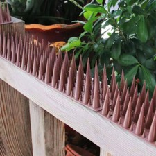 Fence Wall Bird Spikes Garden Security Pigeons Repellent Anti Cat Bird Deterrent