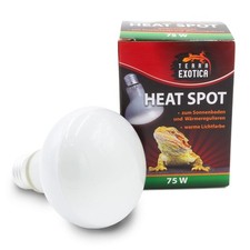 Heat Spot 75W 5er Pack Terrarium W&auml;rmelampe Reflektorstrahler E27 Sonnenplatz