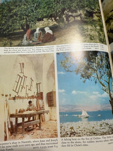 The Family Rosary Commemorative Edition of the Catholic Bible Remembrance Marion - Picture 9 of 21