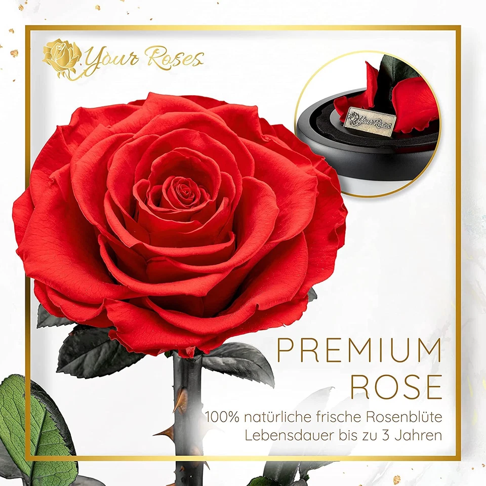 Konservierte Rose im Glas - personalisiertes Geschenk in verschiedenen Farben - Bild 3 von 4