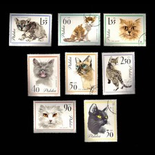 Poland, Scott 1216-1223, Cats, 1964, used, 113300