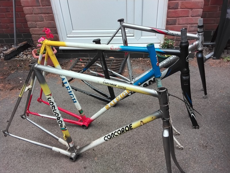 Selection Of Frames, Concorde , Raleigh Quadra, Trek, Giant