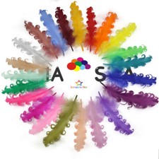 Curly Goose Feathers 13-18CM/5-7inch 30 Color for floral arrangements DIY Crafts