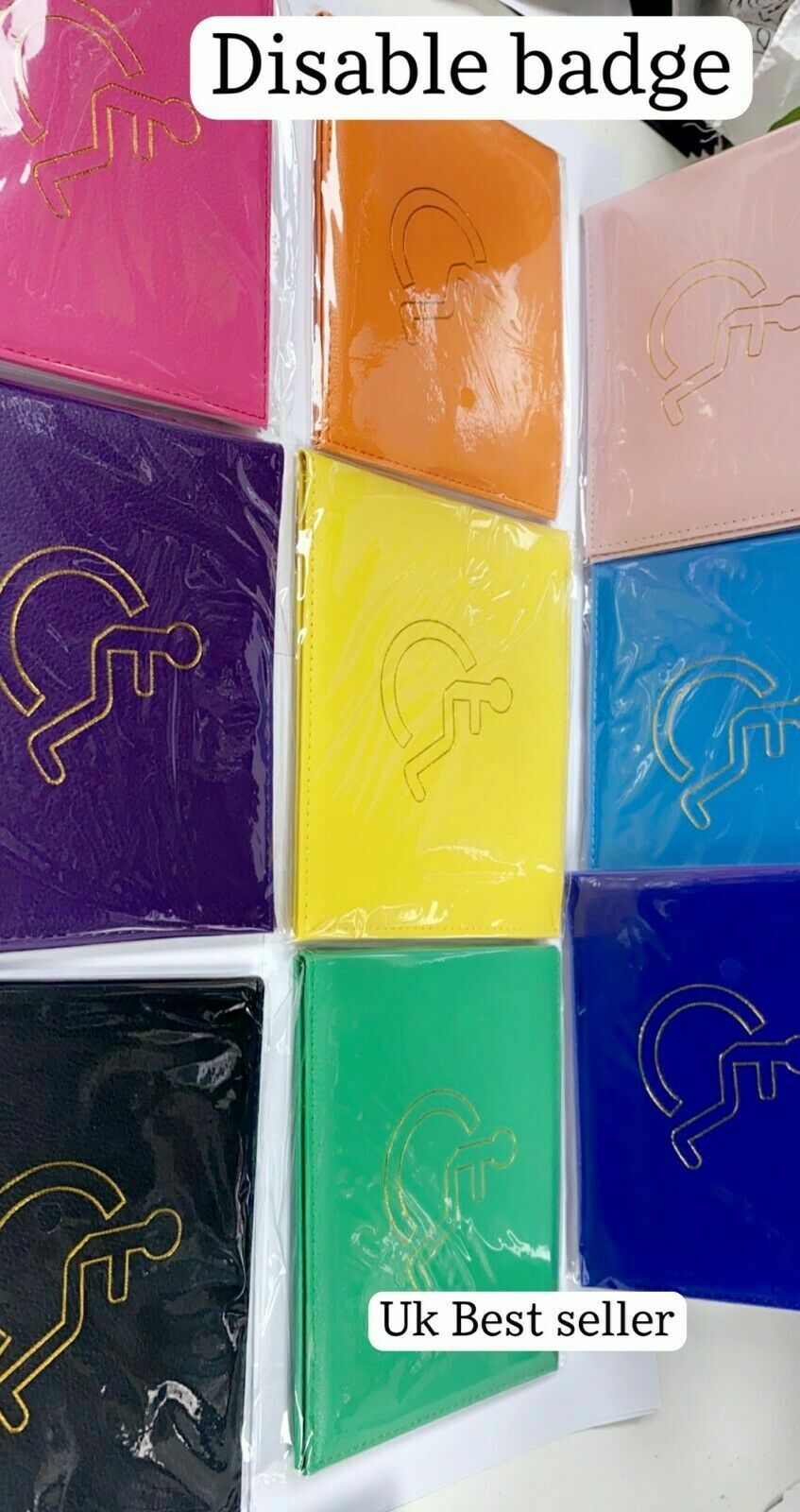 Disabled Blue Badge Holder Hologram Safe Parking Permit Display Cover