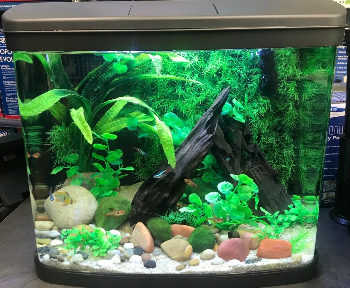 Marine Aquarium Tropical Fish Supplies North East Tropical Fish