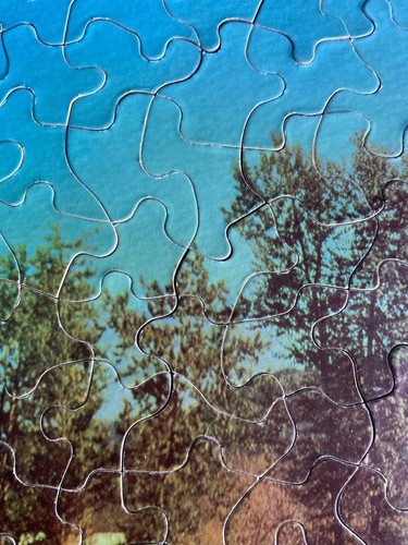 Jigsaw Puzzle Vtg Guild 304 Pc St. Joe River Michigan Fishing Dog Complete R3 - Picture 4 of 9