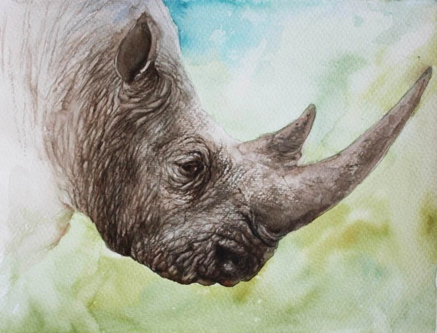 White Rhino Painting