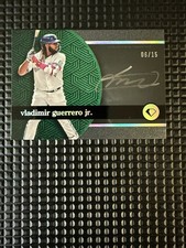 2024 Topps Diamond Icons Vladimir Guerrero Jr Auto /15!
