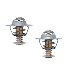 Qty 2: Thermostat Fits Massey Ferguson Replaces 1447384M1