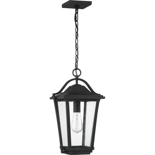 Darius 1-Light Outdoor Hanging Lantern in Earth Black - Picture 2 of 7