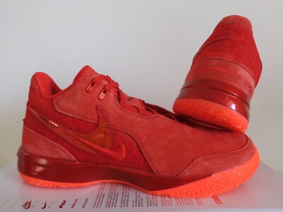 Nike Zoom Lebron Nxxt Gen Ampd James Gang University Red Sz 13