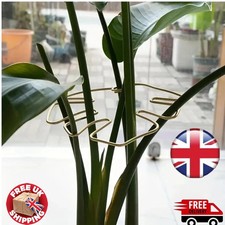 Monstera Leaf Plant Trellis Houseplant Support Grow Vertically Indoor Climbing