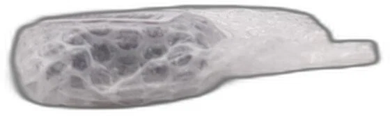 Covergirl & Olay Simply Ageless Instant Wrinkle Defying Foundation Creamy Beige - Image 2 of 4