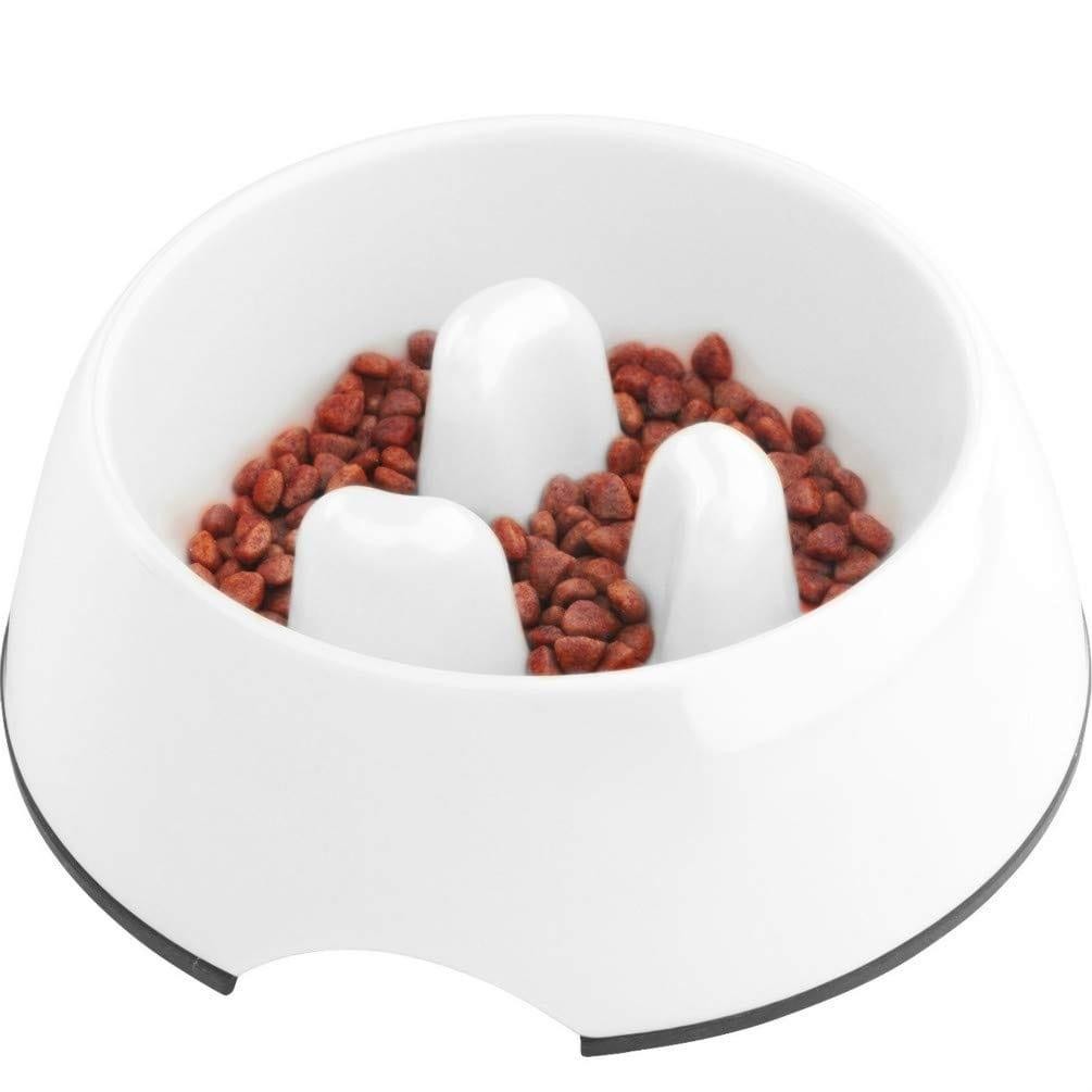 Gamelle anti-glouton Digestidélice pour prendre soin de votre fidèle compagnon design blanc épuré