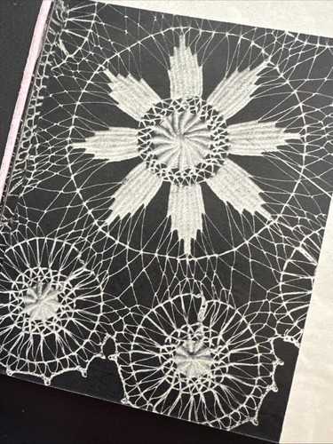 POLKA Spider Web Patterns (Teneriffe style lace designs), 1939 - Lacemaking - Picture 12 of 21