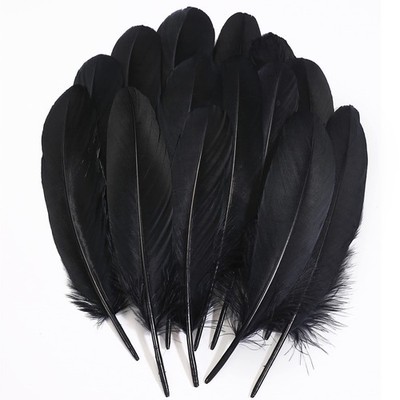 Ballinger Black Craft Feathers Bulk - 120Pcs 6-8 Inch Real Goose 