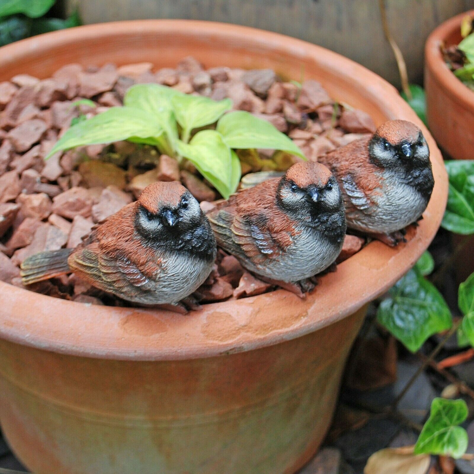 3 Pot Topping Sparrow Bird Garden Ornaments Outdoor Animal Statues