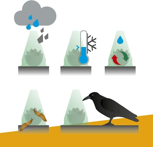Pack of 50 Mini-Greenhouse Plant Covers - Protection from Frost, Hail, Animals - Picture 4 of 4